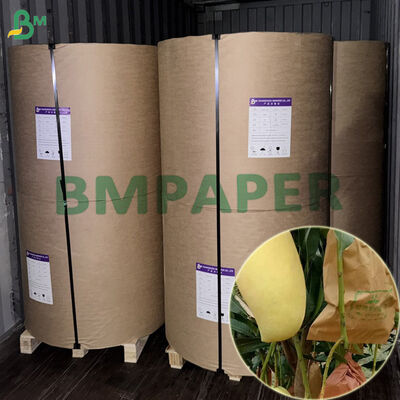 Papel de protección de frutas de doble capa a prueba de agua de 56 gramos para mango de 450 mm